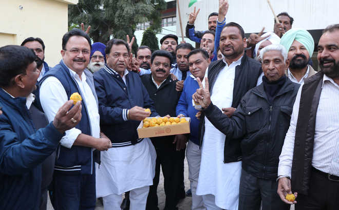 Cong celebrates poll victory