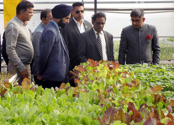 Mauritius President for hi-tech horticulture