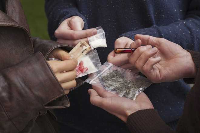 No bail even if cannabis: HP MLAs say yes, many doubtful