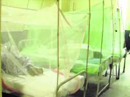 District tops state with 2,325 dengue cases