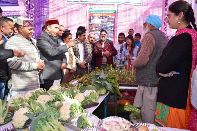 Nagrota Bagwan to have potato chips factory, says minister