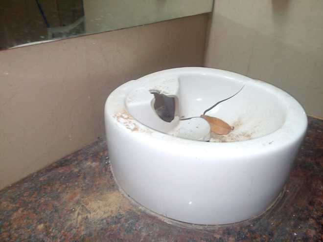 Washrooms raise a stink at Student Centre in PU