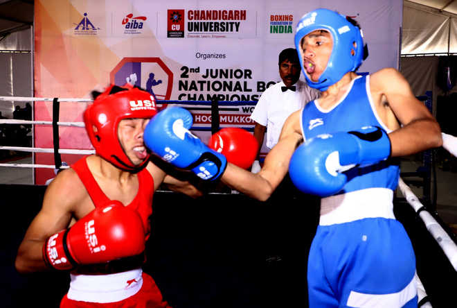 SSCB, Haryana boxers pack a punch