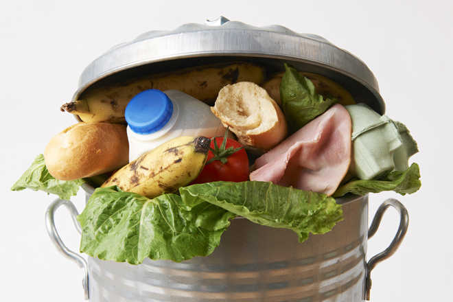 UK appoints first champion to tackle food waste