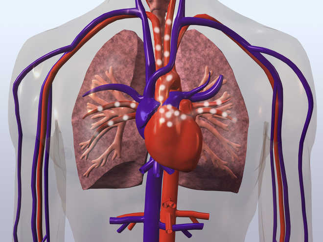 Asthma drug may help treat serious heart condition