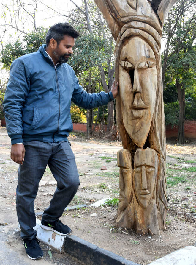 MC stops artist from sculpting dead trees