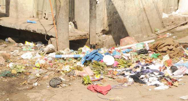 1,275 sanitation-related challans, city undeterred