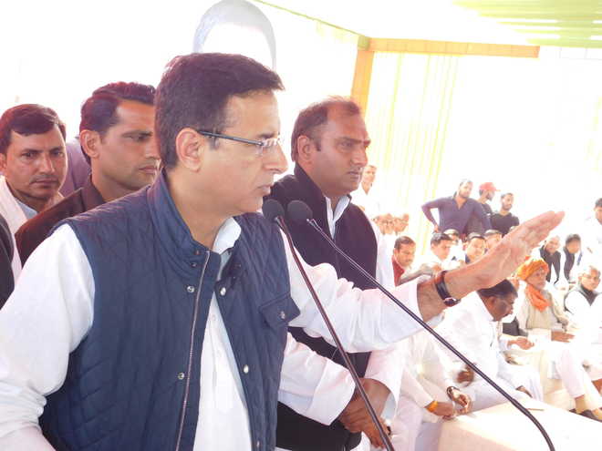 State govt neglecting south Haryana, claims Surjewala