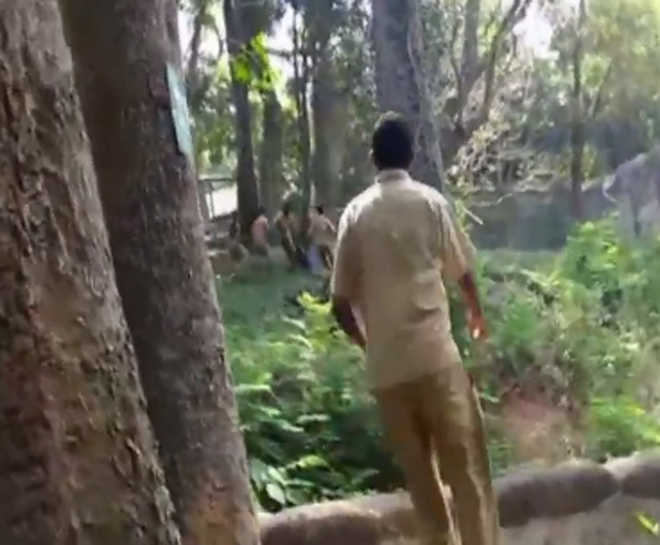 Man jumps into lioness’ enclosure in Kerala zoo; rescued