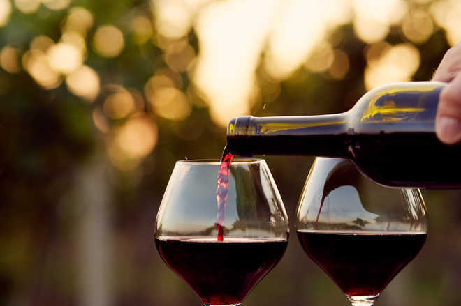 Wine may be good for oral health