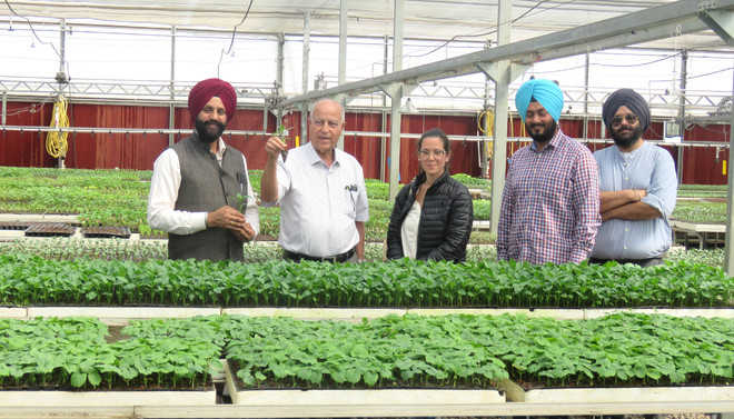 Israeli delegation visits veg centre