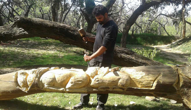 Tree sculptor shifts base to forest area near Sukhna