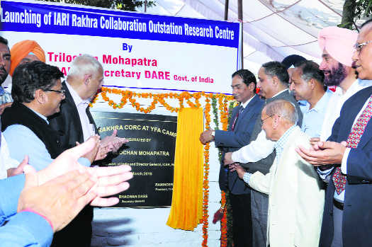 Rakhra gets IARI research centre