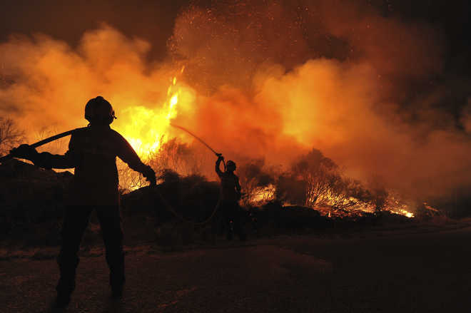 10 trekkers die in forest fire on Kurangani Hills in Tamil Nadu