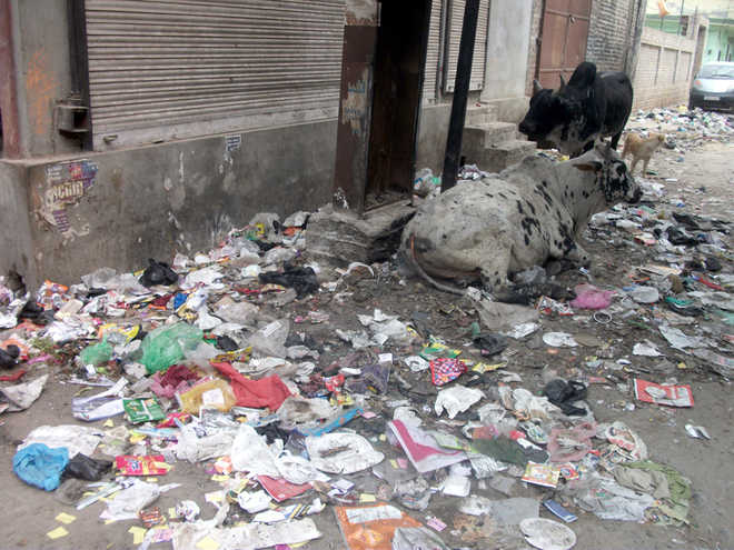 Safai sewaks’ strike continues, streets turn garbage dumps