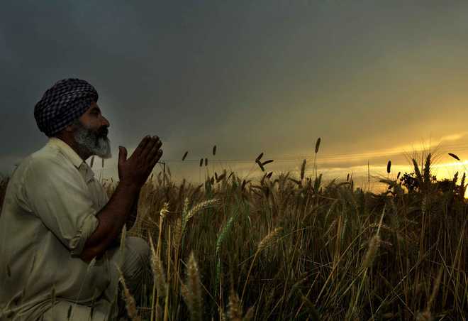 Rains lash parts of Punjab, Haryana; worry farmers
