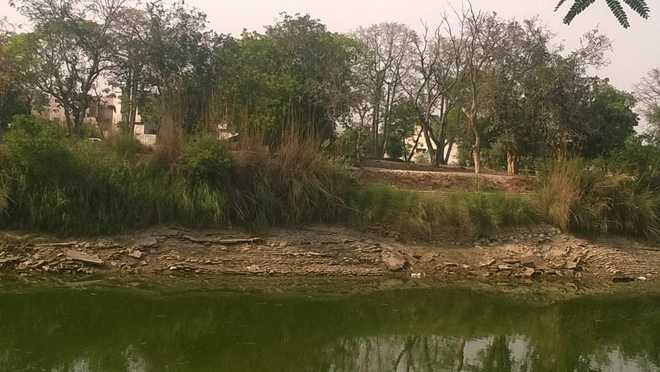 Indira Gandhi, Sirhind canal banks decay