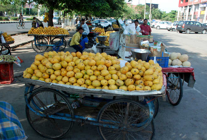 Street vendors’ figure in Panchkula pegged at 2,860