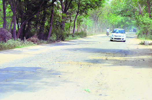 Road connecting Nabha with Sangrur in a shambles
