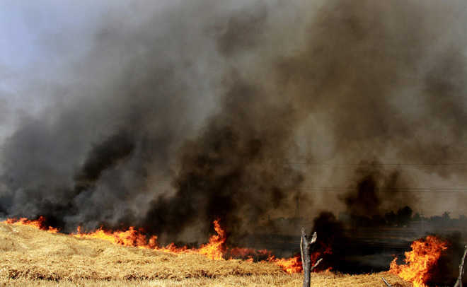 Fire destroys standing wheat crop on 15 acres