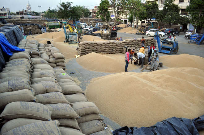 Heavy arrivals, tardy lifting lead to wheat glut in mandis