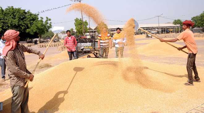 Crop procurement processbegins at 35 grain markets