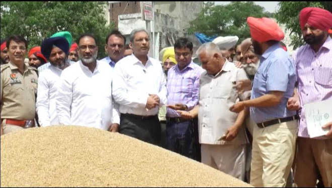 Wheat piles up in Khanna grain market