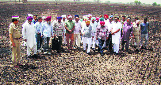 Mandi Board chairman assures farmers of relief