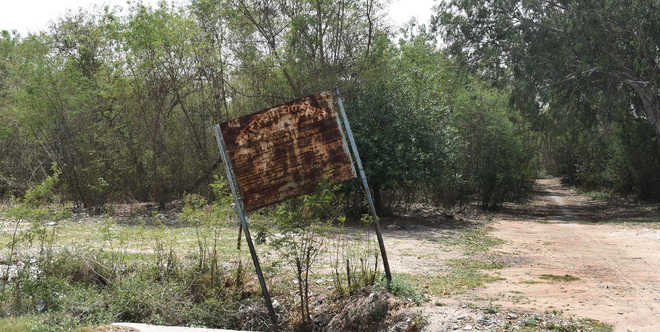 Vacant land turns haven for miscreants in Sec 50