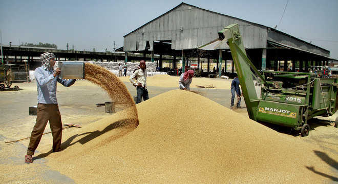 Wheat procurement process going on smoothly in Punjab: Minister