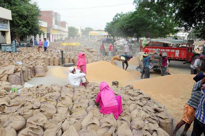 Arhtiyas bringing wheat from UP, Rajasthan to be booked