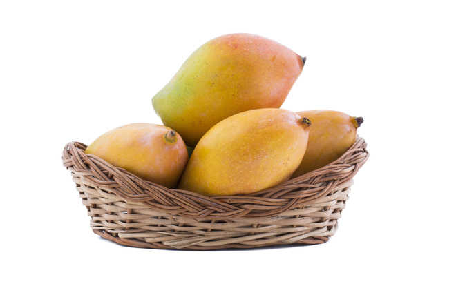 Can mangoes make you fat?