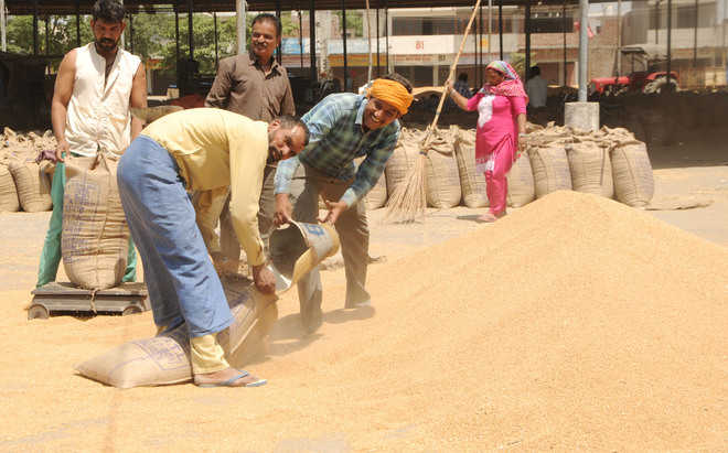 DC for lifting of wheat at fast pace