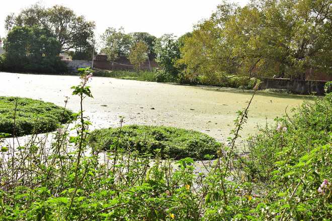Govt fails to act on Union Ministry’s order on ponds