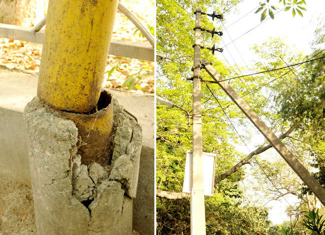 Tilted poles in Company Bagh pose risk : The Tribune India