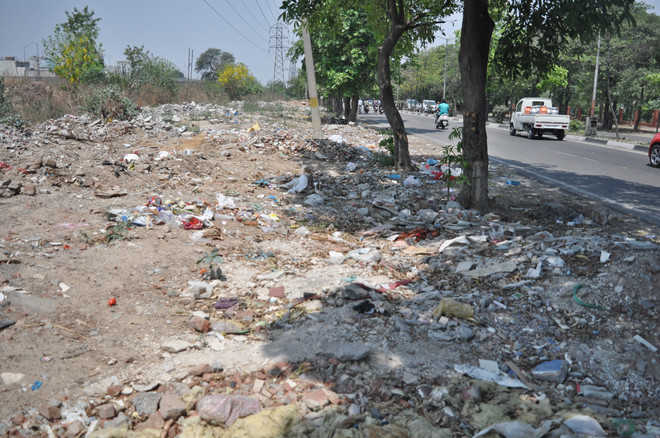 No check on dumping of  waste in green belt along canal