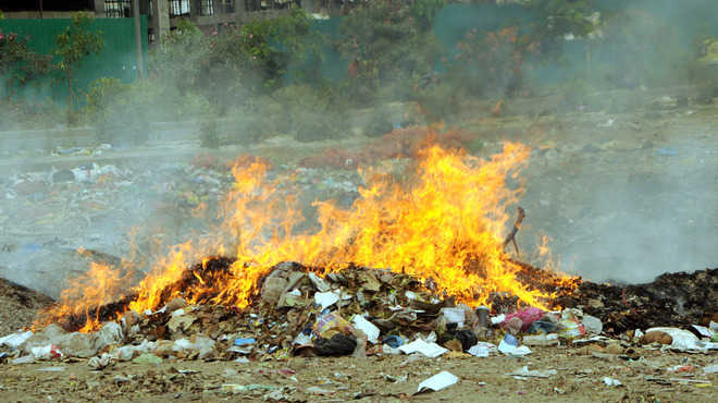 No check on burning of garbage heaps in city