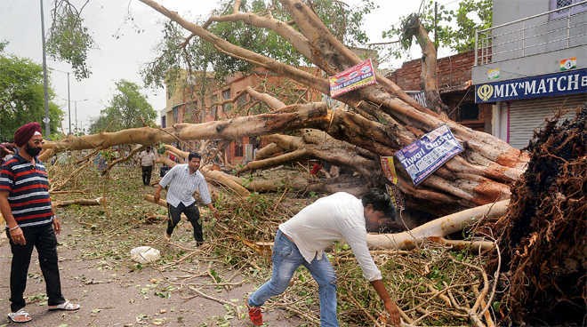 Met went overboard in issuing severe storm warning for Delhi: Official