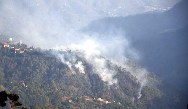 Soaring mercury sparks forest fires