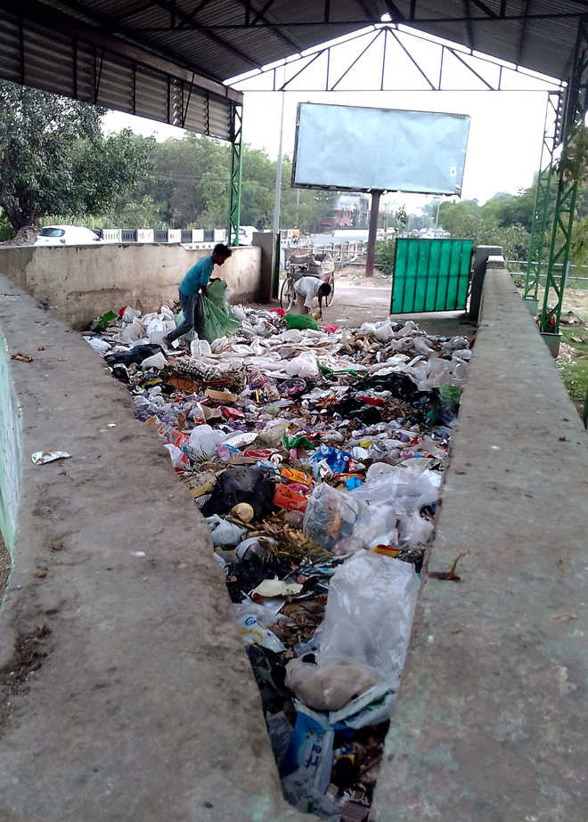 Waste management: Jolt to Mohali MC plan