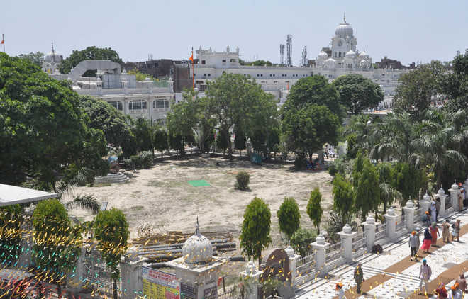 A green tinge to Golden Temple