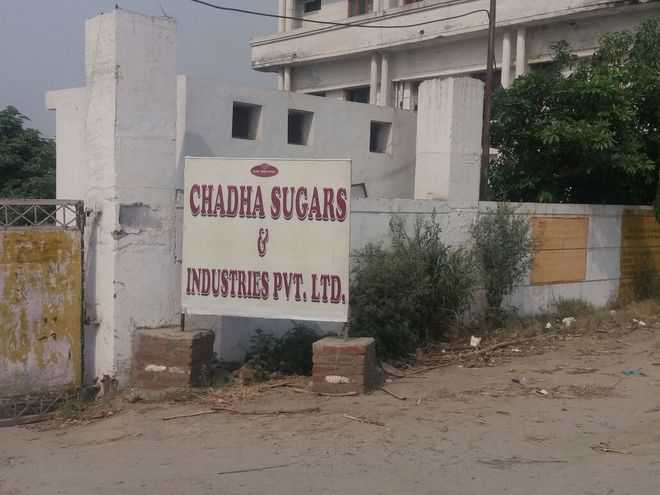 Molasses leakage: PPCB imposes Rs 5 crore fine on Chadha sugar mill
