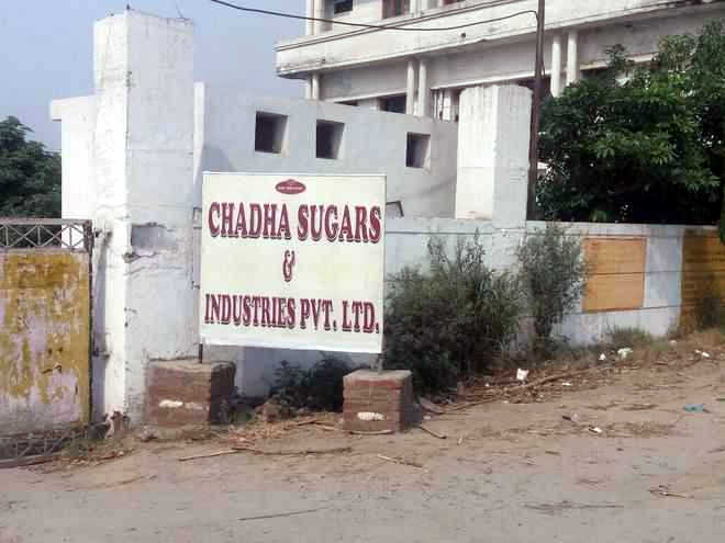 Beas eco-disaster: PPCB seals sugar mill, Rs 5-cr fine, staff in dock