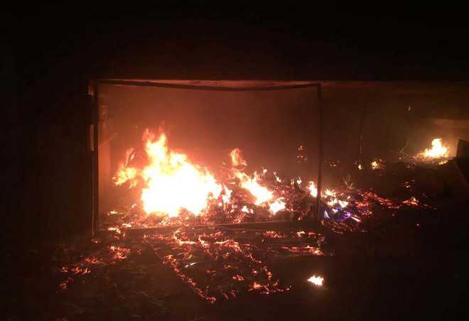 3 fires in 24 hrs cause panic among residents : The Tribune India