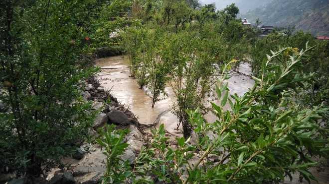 Cloudburst hits Darshal, Matalani villages in Rampur