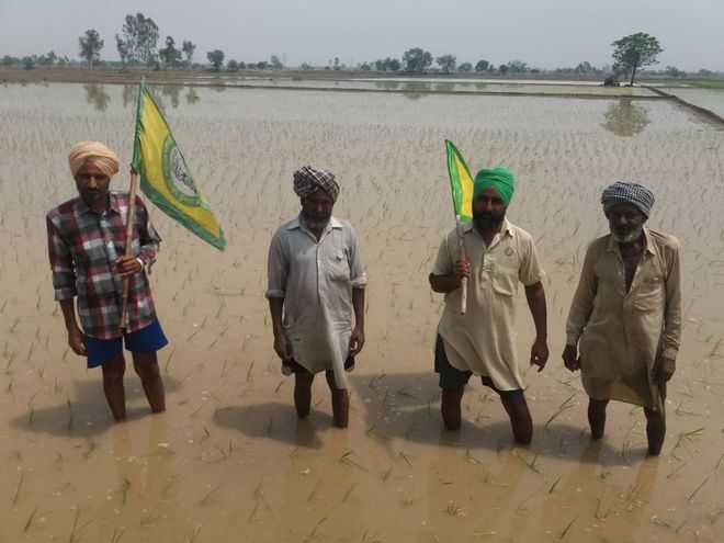 Paddy farmers defiant, won’t wait until June 20