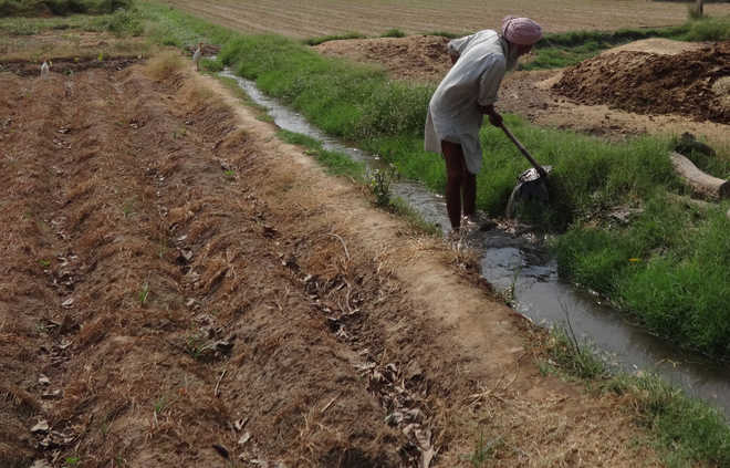 Groundwater depletion alarming in Moga