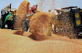 Punjab to install 50,000 dust collectors in grain markets