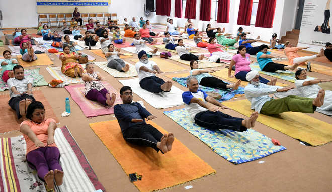 Camp held for yoga enthusiasts