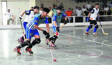 Haryana skaters shine